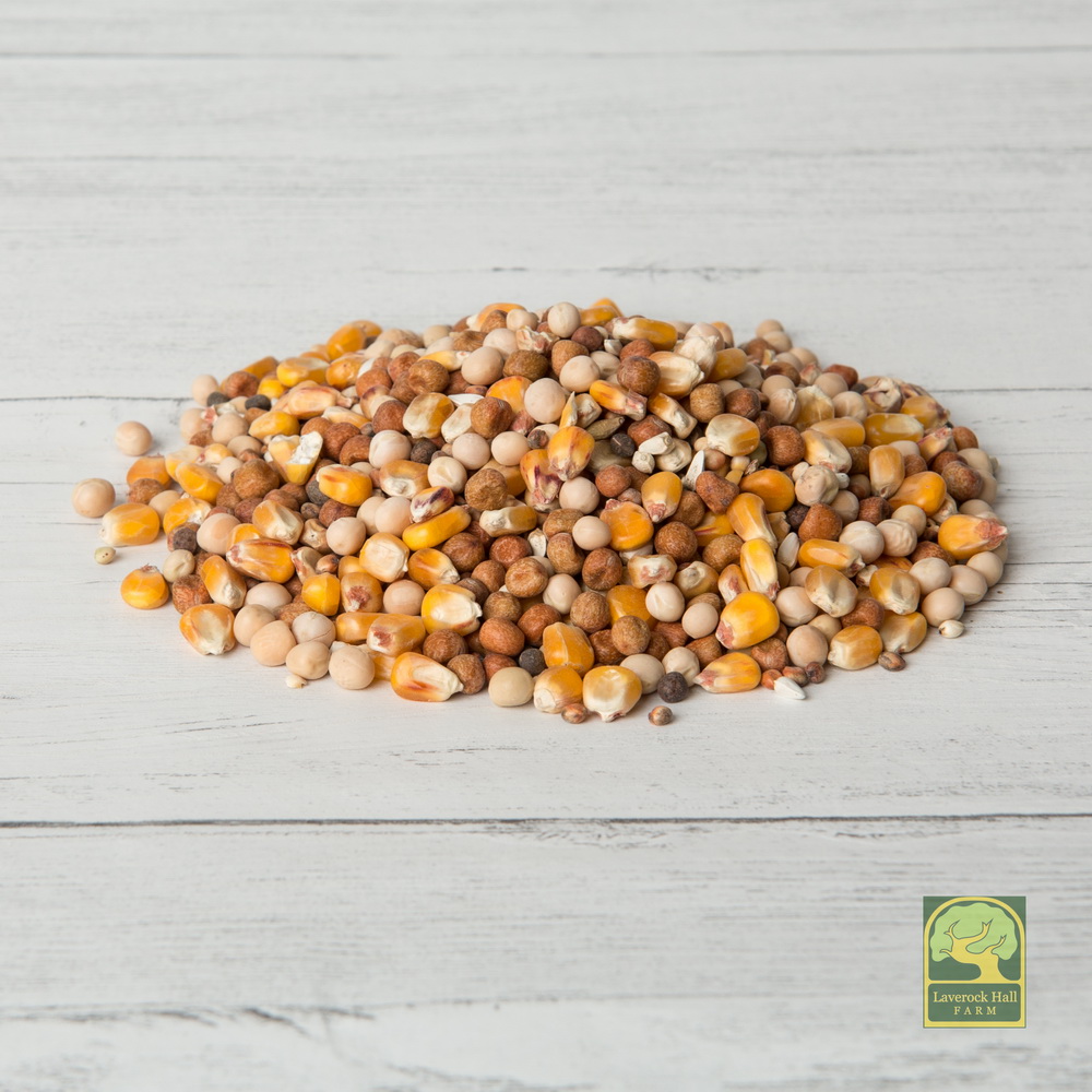 Laverock Bird food - Irish-1